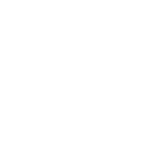 NEXT MEMBER